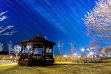 감기 걸렸습니다. - 니콘 Talk 감기 걸렸습니다.