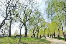 [D200+토키나16-28] 궁남지에서3 - 니콘 Talk [D200+토키나16-28] 궁남지에서3