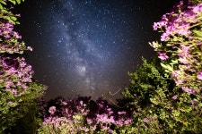 [D750+삼양14M,16-35N] 장수 봉화산~~~ - 니콘 Talk [D750+삼양14M,16-35N] 장수 봉화산~~~