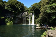 [D5500] 천지연폭포 - 니콘 Talk [D5500] 천지연폭포