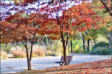 [D500+35-70D]가을의 공원2 - 니콘 Talk [D500+35-70D]가을의 공원2