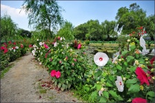 [D700]궁남지3 - 니콘 Talk [D700]궁남지3