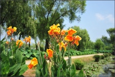 [D700]궁남지2 - 니콘 Talk [D700]궁남지2