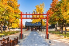 [Z7 + TZE-01] 전주 한옥마을 경기전 단풍 - 니콘 Talk [Z7 + TZE-01] 전주 한옥마을 경기전 단풍