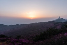 비슬산 풍경 - 니콘 Talk 비슬산 풍경