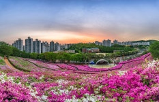 [ETZ21 + 1224GM] 군포 철쭉동산 일출 파노라마 - 팝코넷 | 팝게&톡 이슈게시판 [ETZ21 + 1224GM] 군포 철쭉동산 일출 파노라마
