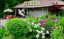 [Zf]추억의 슈퍼문구점 - 니콘 Talk [Zf]추억의 슈퍼문구점