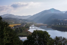 [p5] 홍천 은행나무숲 - 올림푸스 Talk [p5] 홍천 은행나무숲