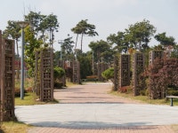 [EM5] 아산 지산체육공원 억새밭 - 올림푸스 Talk [EM5] 아산 지산체육공원 억새밭