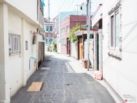 [E-M1X] 도천 음악마을 스냅 - 올림푸스 Talk [E-M1X] 도천 음악마을 스냅