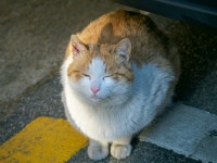 장비만 늘어나네요. - 파나소닉 Talk 장비만 늘어나네요.