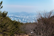 엄광산 정상에서. - 파나소닉 Talk 엄광산 정상에서.