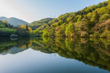 [s1]세량제의 봄 - 파나소닉 Talk [s1]세량제의 봄