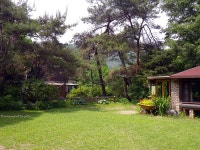 [WG-1] 푸른 공간.. - 리코 & 펜탁스 Talk [WG-1] 푸른 공간..