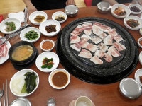 [WG-1]저도 지글지글..... - 리코 & 펜탁스 Talk [WG-1]저도 지글지글.....