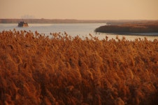 [K-5]순천만 하여라... - 리코 & 펜탁스 Talk [K-5]순천만 하여라...