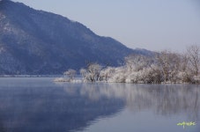 [K-5+12-24,18-135] 춘천 소양강 마지막 상고대^^* - 리코 & 펜탁스 Talk [K-5+12-24,18-135] 춘천 소양강 마지막 상고대^^*