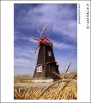 [K-r] 소래습지생태공원의 풍차. - 리코 & 펜탁스 Talk [K-r] 소래습지생태공원의 풍차.