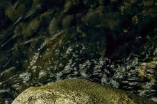 [k5iis]내마음의 작은섬... - 리코 & 펜탁스 Talk [k5iis]내마음의 작은섬...