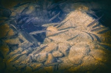 [k5iis]물흐르듯... 잔잔하게 살아요... - 팝코넷 | 팝게&톡 이슈게시판 [k5iis]물흐르듯... 잔잔하게 살아요...