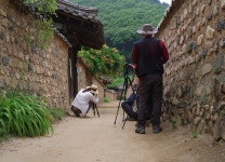 [645z] 능소화 찰영 - 팝코넷 | 팝게&톡 이슈게시판 [645z] 능소화 찰영