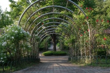 [NX1] 꿈집! 2015년 장미동산..... - 삼성 Talk [NX1] 꿈집! 2015년 장미동산.....