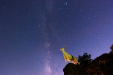 타기종) 한라산 1100고지 은하수 - 삼성 Talk 타기종) 한라산 1100고지 은하수