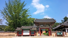 엊그제 전북 완주 송광사 연꽃의 진실 ... ^^ (약스압) - 삼성 Talk 엊그제 전북 완주 송광사 연꽃의 진실 ... ^^  (약스압)