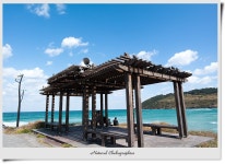 [초보당] 물요일날 출석부 - 삼성 Talk [초보당] 물요일날 출석부