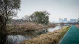 비 오는 날의 탄천 - 삼성 Talk 비 오는 날의 탄천