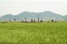 [갤nx+canon fl 58.2] 순천만.. - 삼성 Talk [갤nx+canon fl 58.2]  순천만..
