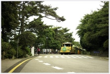 [NX500+85+30mm] 태종대 일주. - 삼성 Talk [NX500+85+30mm] 태종대 일주.