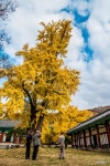 [nx1, 12-24/50-150] 전주 향교에서 ... - 삼성 Talk [nx1, 12-24/50-150] 전주 향교에서 ...