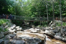 [nx500] 대암산 용늪 - 우리나라 람사르 습지 1호 - 삼성 Talk [nx500] 대암산 용늪 - 우리나라 람사르 습지 1호