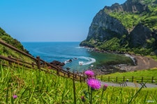 [NX1, 12-24] 들꽃, 그리고 일출봉 ... - 삼성 Talk [NX1, 12-24] 들꽃, 그리고 일출봉 ...