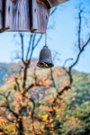 [S1, 24-105] Autumn bokeh .. - 삼성 Talk [S1, 24-105] Autumn bokeh ..