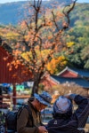 [S1, 24-105] Autumn bokeh .. - 삼성 Talk [S1, 24-105] Autumn bokeh ..