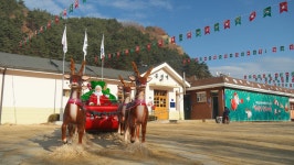 [nx1] 산타마을. 백두대간 협곡 체르마트 길 트래킹 - 팝코넷 | 팝게&톡 이슈게시판 [nx1] 산타마을. 백두대간 협곡 체르마트 길 트래킹