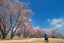 [NX1, 12-24] 봄이 오려나 봐요~ - 삼성 Talk [NX1, 12-24] 봄이 오려나 봐요~