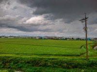 [NX-mini, 외 ] 일상 ... - 삼성 Talk [NX-mini, 외 ] 일상 ...