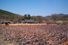 인흥서원 - 삼성 Talk 인흥서원