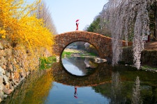 만년교 - 삼성 Talk 만년교