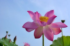 오랜 화일속에서.. - 삼성 Talk 오랜 화일속에서..