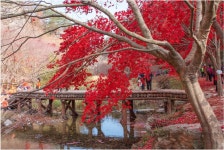 강천산 (剛泉山) 2012. 11. 10 - 삼성 Talk 강천산 (剛泉山) 2012. 11. 10