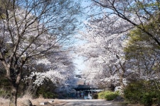 8만원... - 삼성 Talk 8만원...