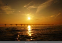 [SLT-A35] 황금노을... - 소니 Talk [SLT-A35] 황금노을...