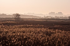 공존 3.. - 소니 Talk 공존 3..