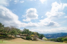 [A6300] 제천 봄나들이 - 소니 Talk [A6300] 제천 봄나들이