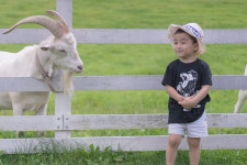 [a7ii+55.8] 아들놈 휴가 하늘목장 + 바다열차 + 추추파크 ^^ - 소니 Talk [a7ii+55.8] 아들놈 휴가 하늘목장 + 바다열차 + 추추파크 ^^