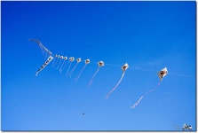 [a7r2] 정월 대보름 다대포 풍경. - 소니 Talk [a7r2] 정월 대보름 다대포 풍경.